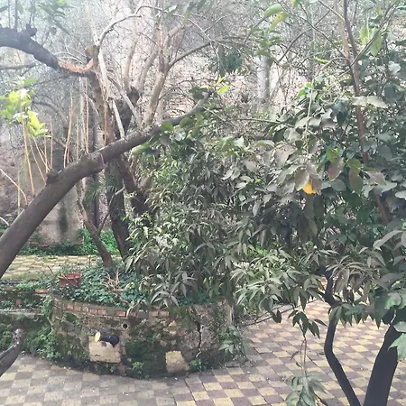 Ξενοδοχείο Domus Aventina Ρώμη